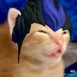 ͷ��
