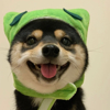 ͷ��