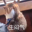 求日文男生唱的一首歌,里面一直有大丈夫。最的古代女生自慰器图片