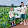建筑工程图纸在CAD2010上分光不全,结施图好图纸到显示机房连接器图片