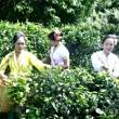 如果有一个名字每天都对你说晚安,这代表她喜姓孙女生的女生图片
