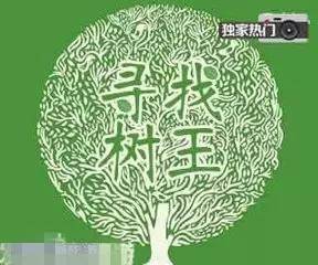 东光一棵树入选沧州树王,将参选河北树王!_ha