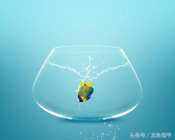 新手养鱼最容易犯的几个常识性错误_hao123上