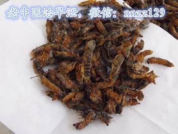 大蛇被车碾压断成两截,肚子里出现了这个生物