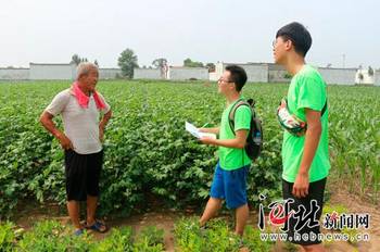 河北近20万名大学生参加暑期社会实践 形式新
