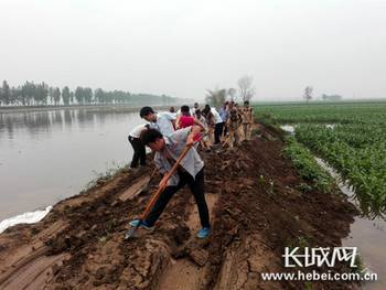 [情义哥看重建]宁晋县小河庄村:心系灾区同舟共