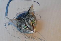 创意欢迎语_搞笑__hao123上网导航