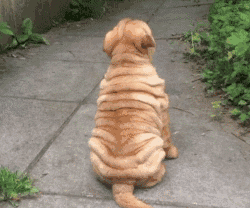 创意欢迎语_搞笑__hao123上网导航