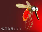其实这才是夏季最靠谱的防蚊方式
