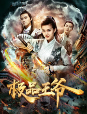 极品王爷