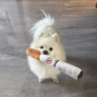新话术论道又磨叽又恶心？玩家吐槽新不如旧！