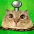 ͷ