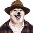 ͷ