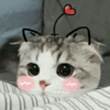 ͷ
