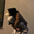 ͷ