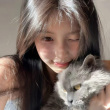 ͷ��