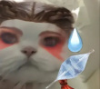 ͷ��