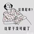 东北色狐