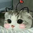 ͷ