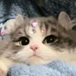 ͷ