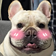 ͷ