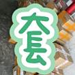 oy4446豹