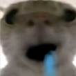 ͷ