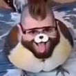 ͷ��