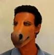 ͷ