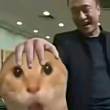 ͷ