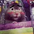 ͷ