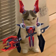 ͷ