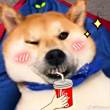 ͷ
