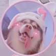 ͷ
