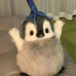 ͷ��