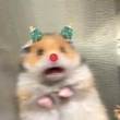 ͷ