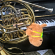 ͷ