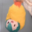 ͷ