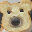 ͷ