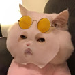 ͷ