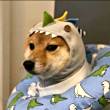 ͷ