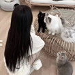 ͷ