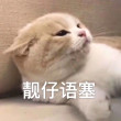 肥宅多快乐