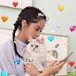 ͷ