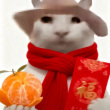 ͷ��