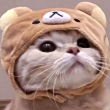 ͷ