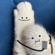 ͷ