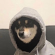 ͷ