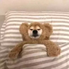 ͷ