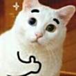 ͷ